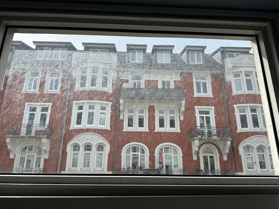 Fenster vor der Reinigung – verschmutzte Scheibe
