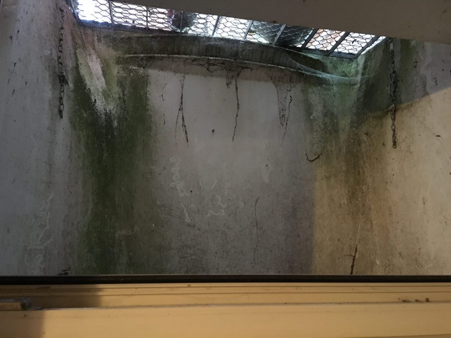 Kellerschacht vor der Reinigung